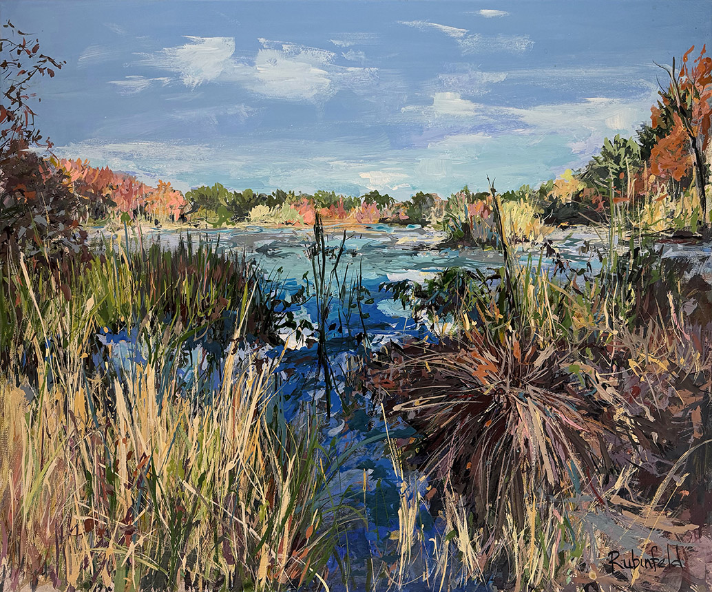 Cat Rock at Hobbs Pond