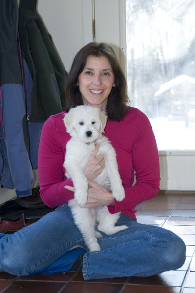 Goldendoodle pictures