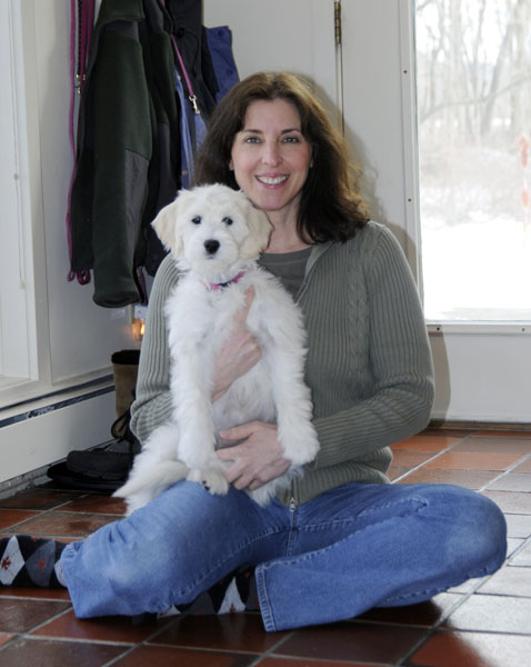 Goldendoodle pictures