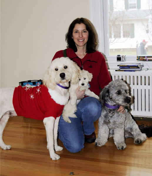 Goldendoodle pictures