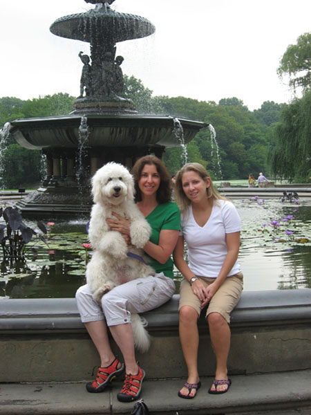 Goldendoodle pictures
