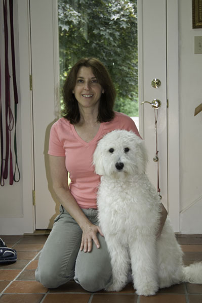 Goldendoodle pictures