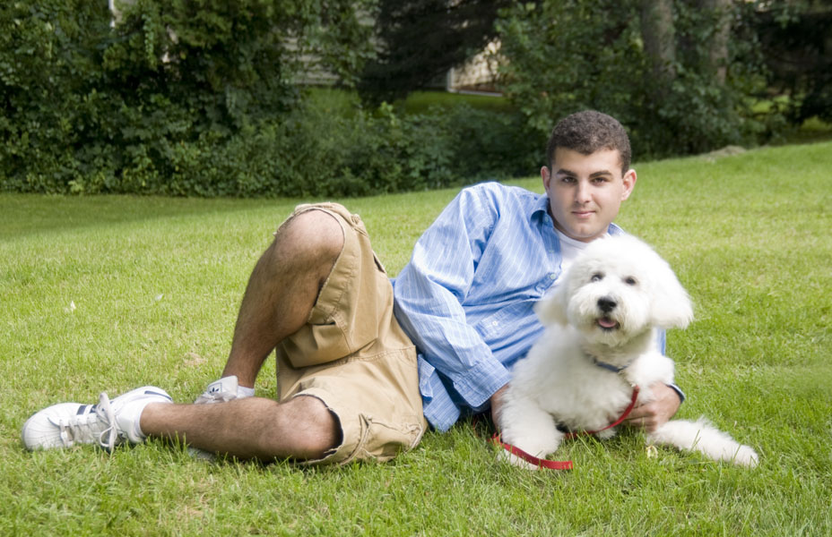 Goldendoodle pictures