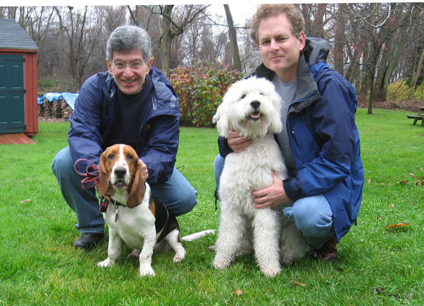 Goldendoodle pictures