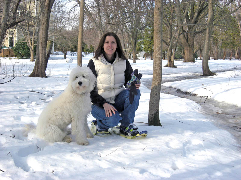 Goldendoodle pictures