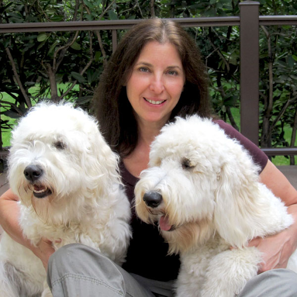 Goldendoodle pictures