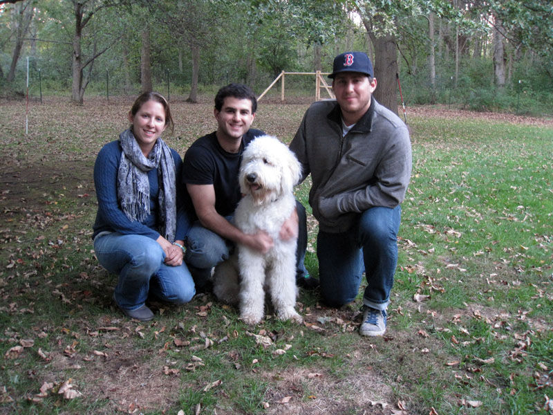 Goldendoodle pictures