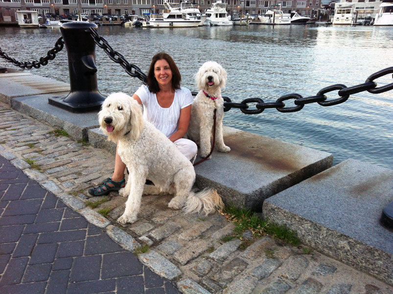 Goldendoodle pictures