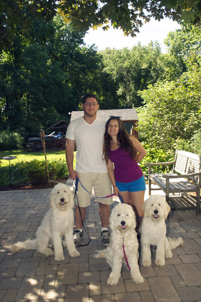 Goldendoodle pictures