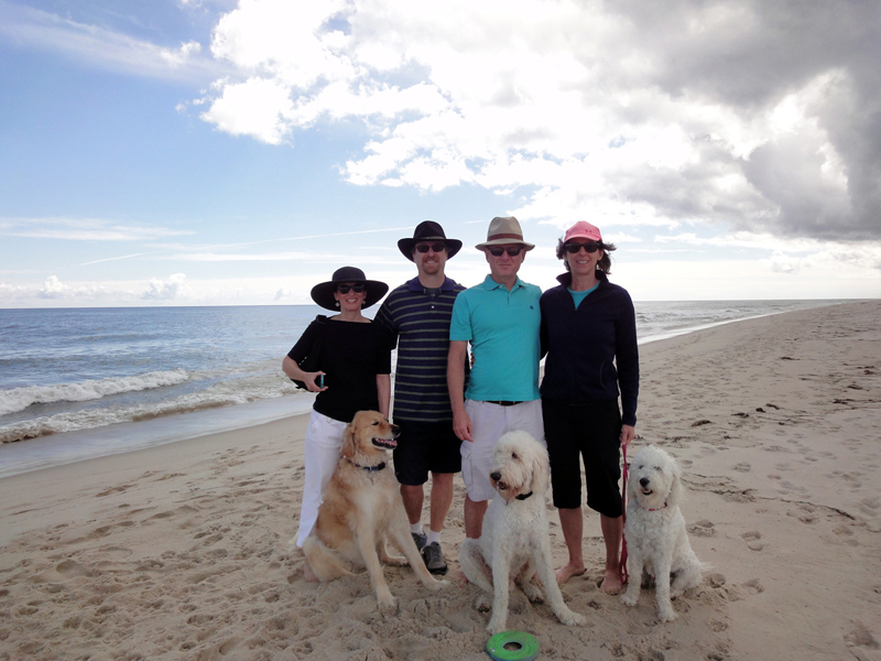 Goldendoodle pictures