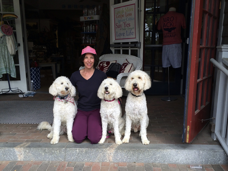 Goldendoodle pictures