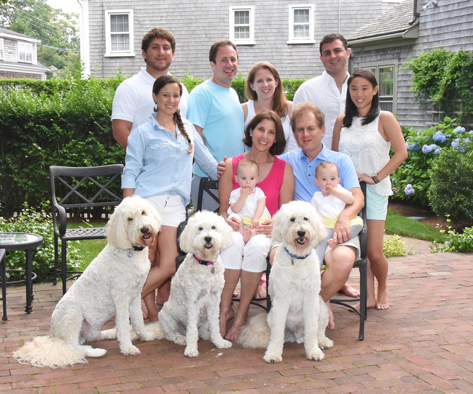 Goldendoodle pictures