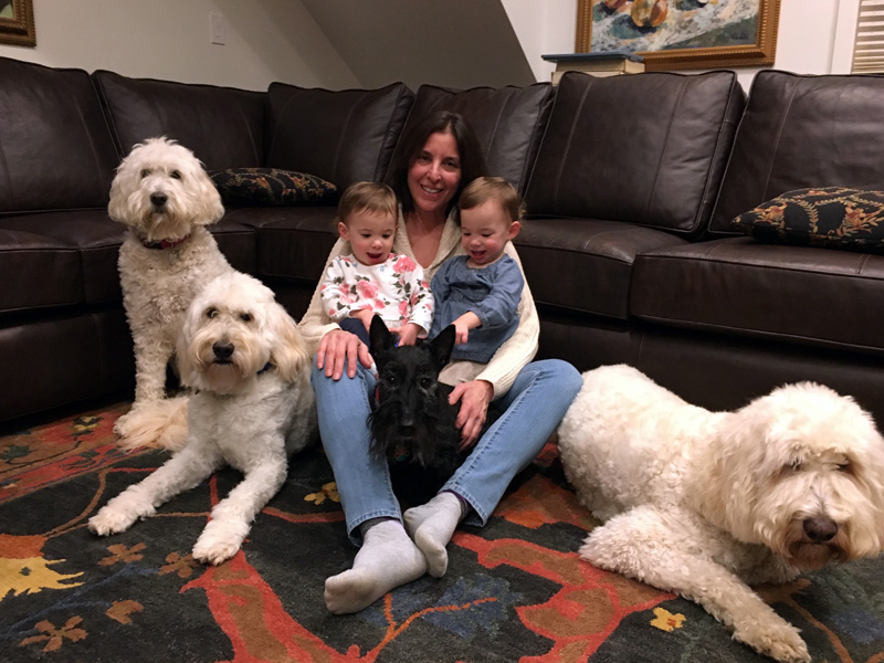 Goldendoodle pictures