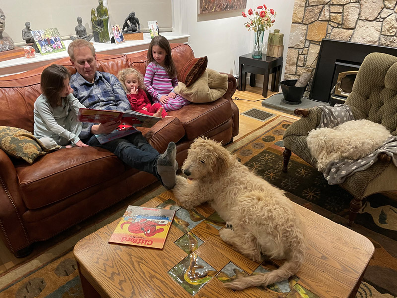 Goldendoodle pictures