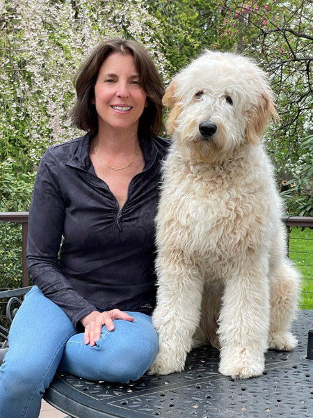 Goldendoodle pictures