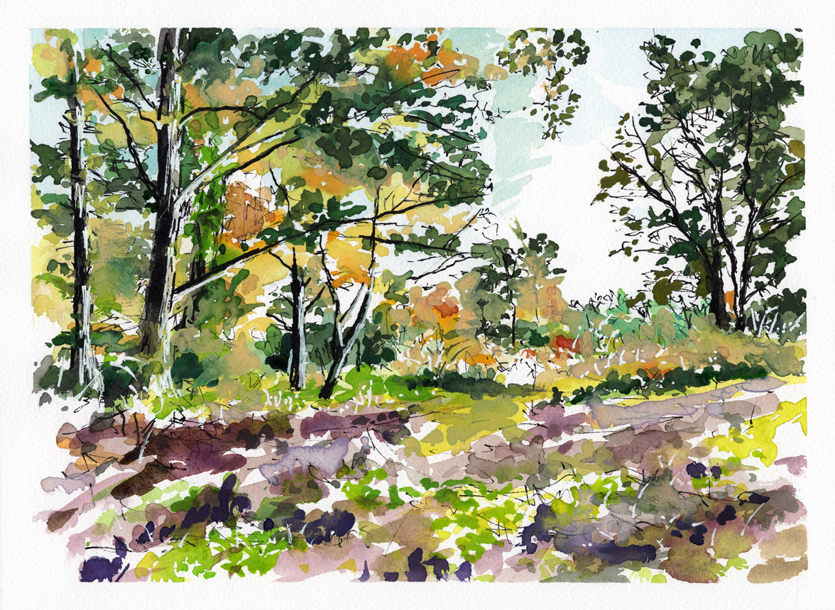 Beaver Brook Hollis NH 1