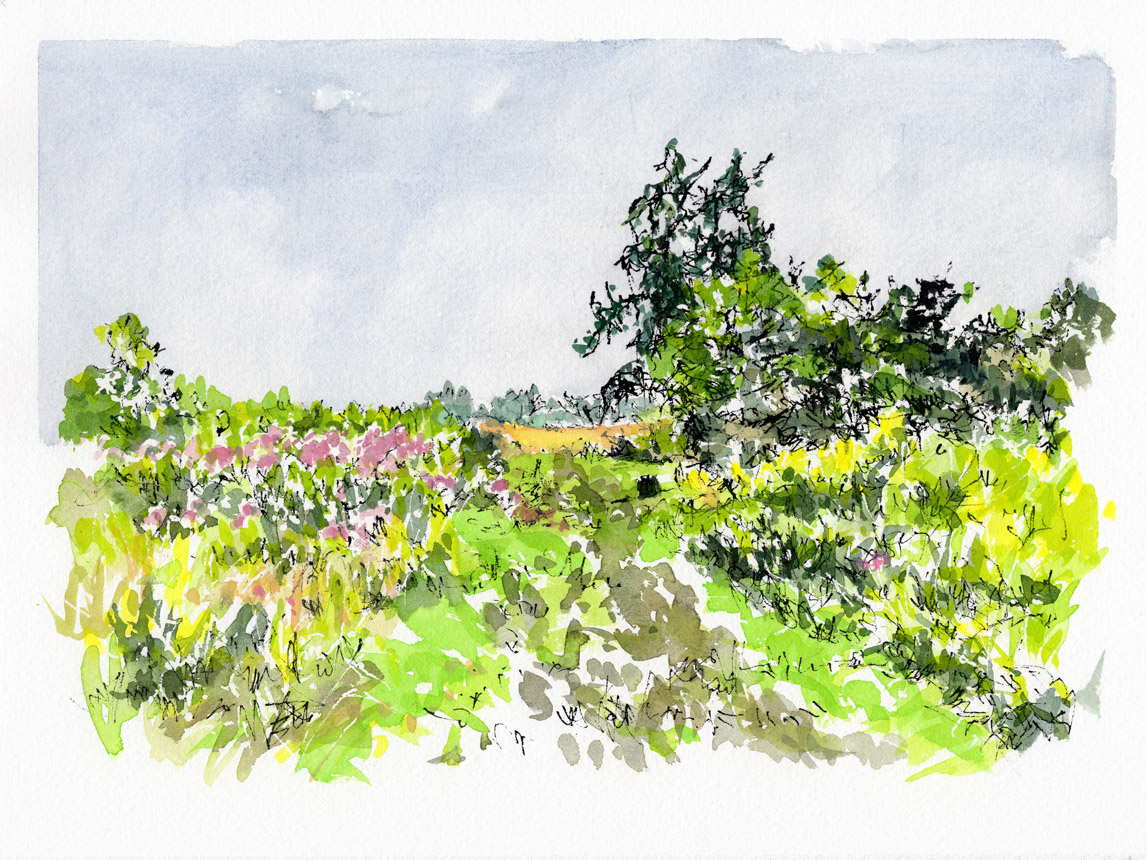 Before the Hurricane 2