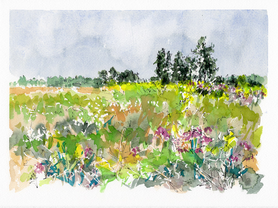 Before the Hurricane 1