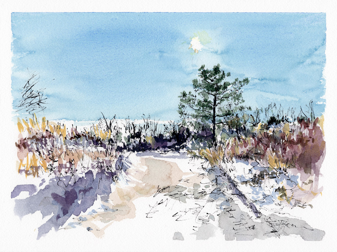 December Path at Wingaersheek 2