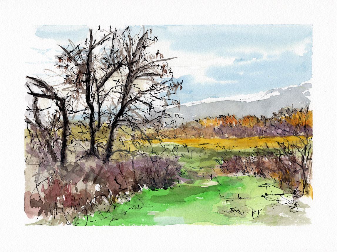 Early Morning Farm Walk