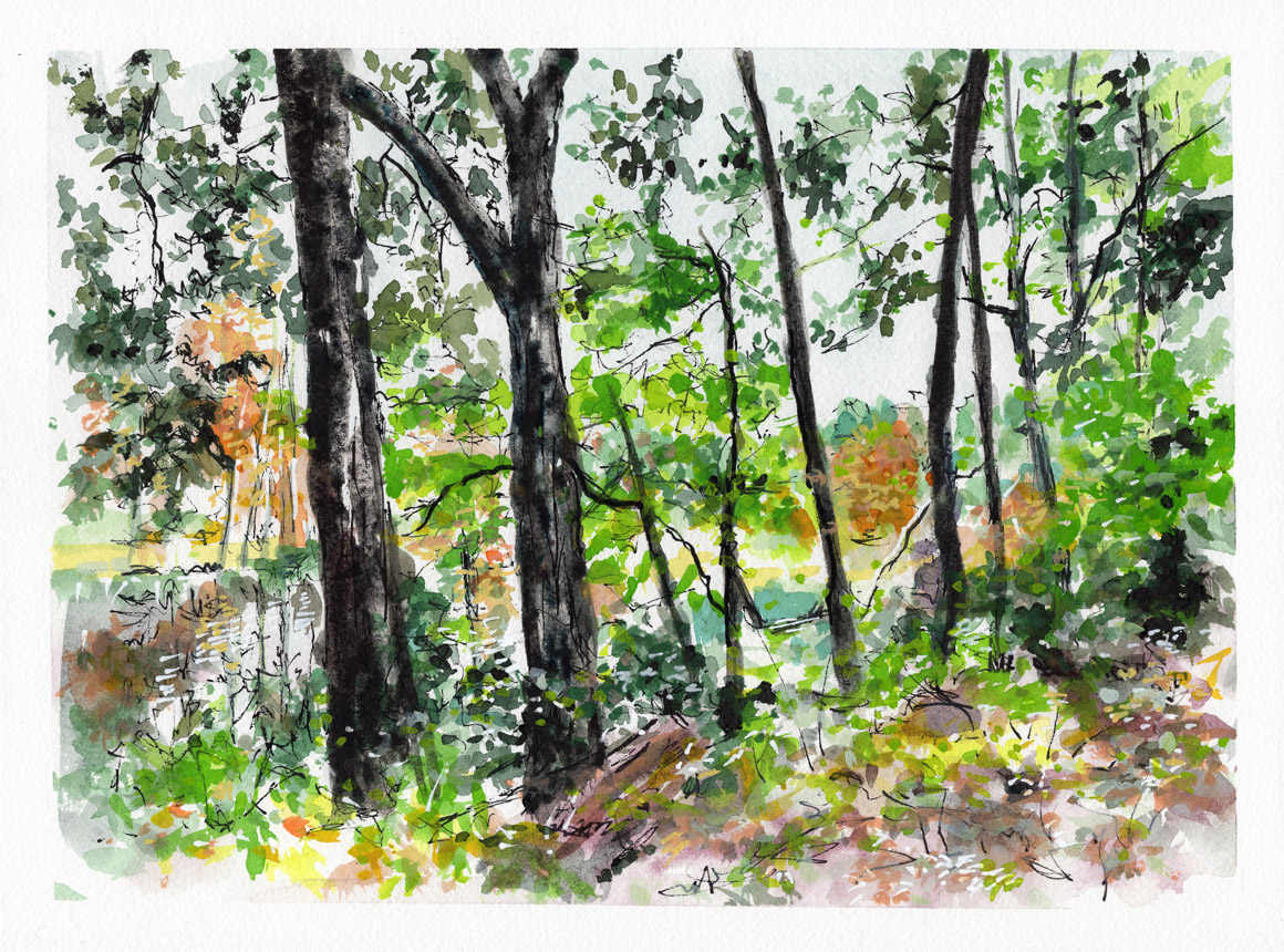 Elm Bank Reservation