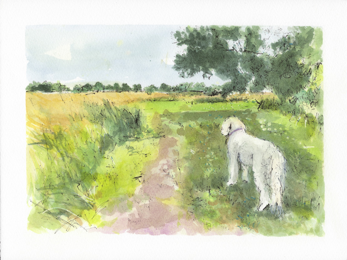 Farm Walk with Sophie