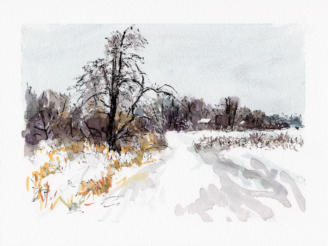 Gray December Morning