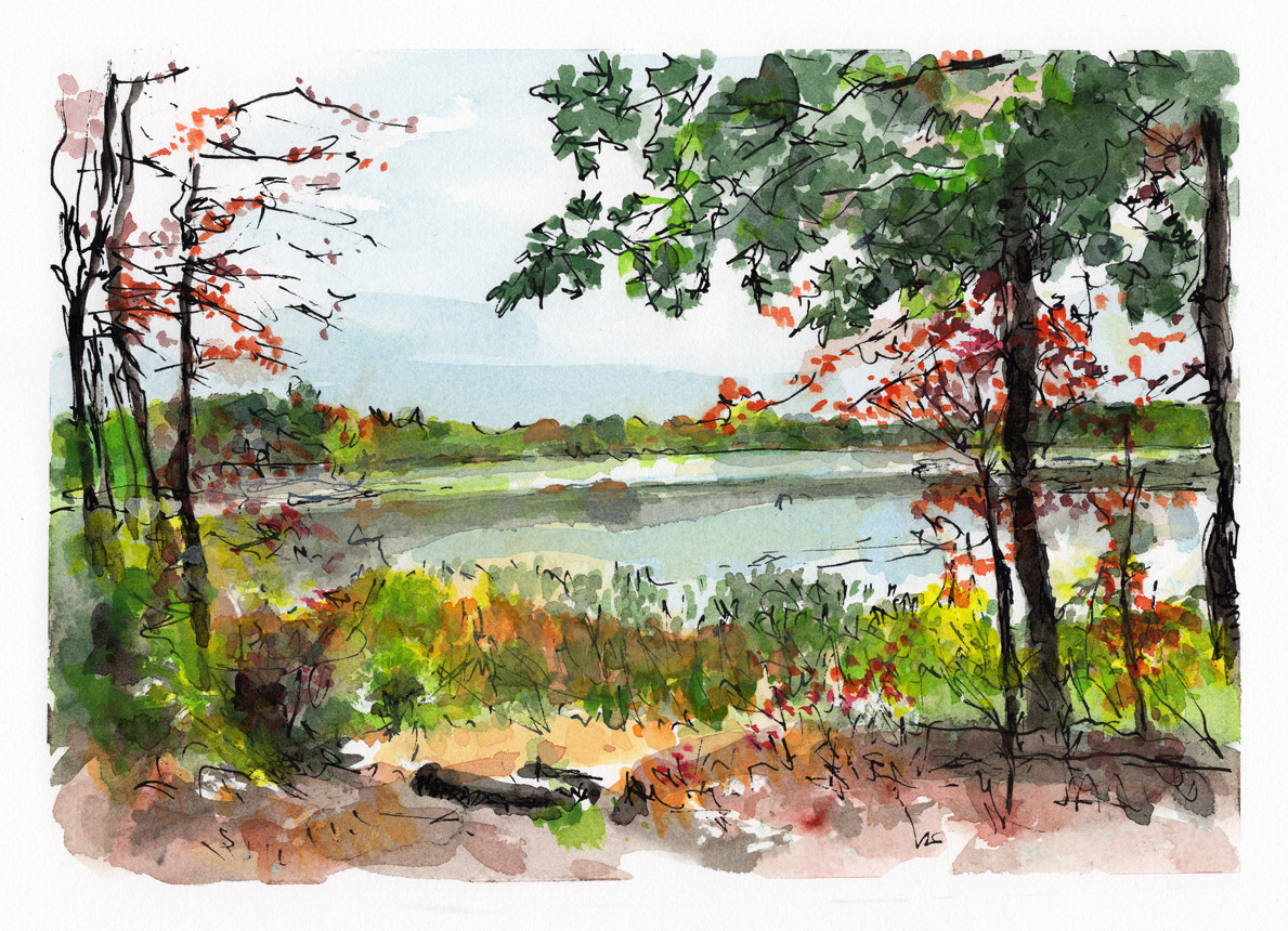 Heard Pond Early October