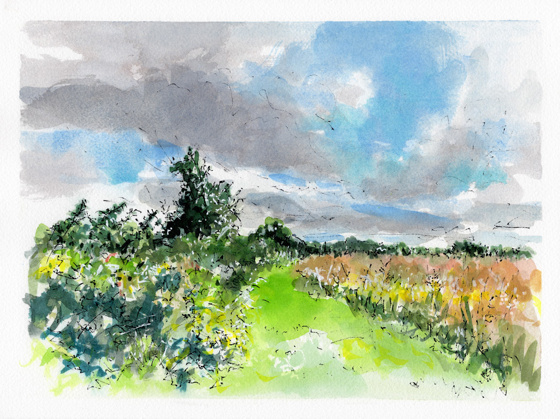 If You See the Wonder