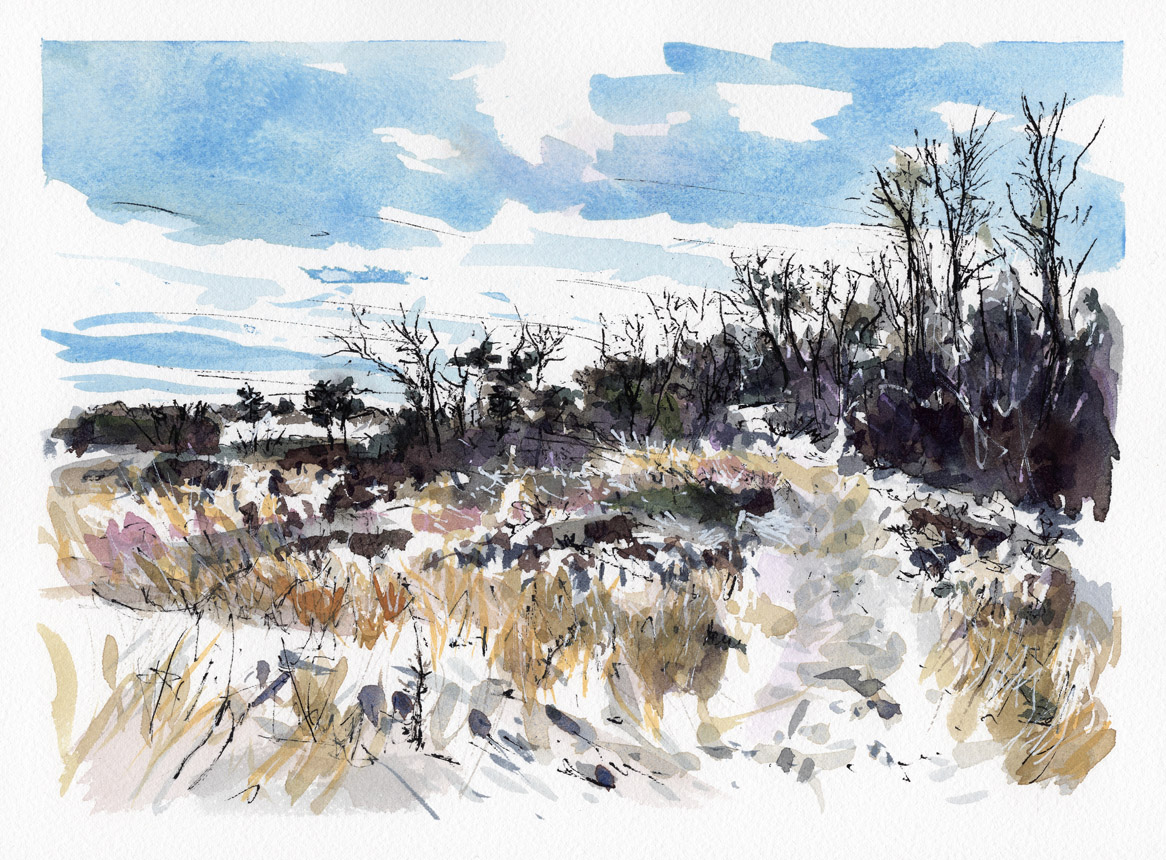 Ipswich New Years Day