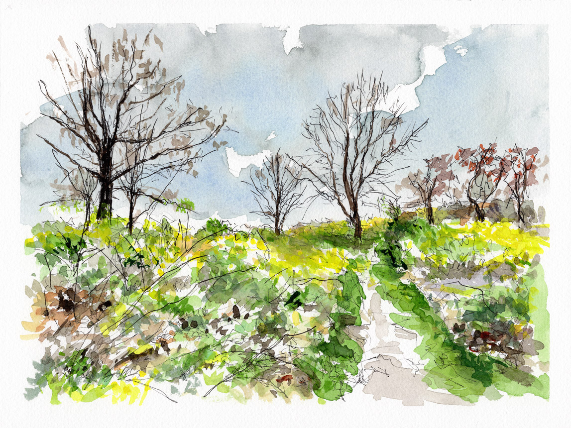 Just before the Leaves