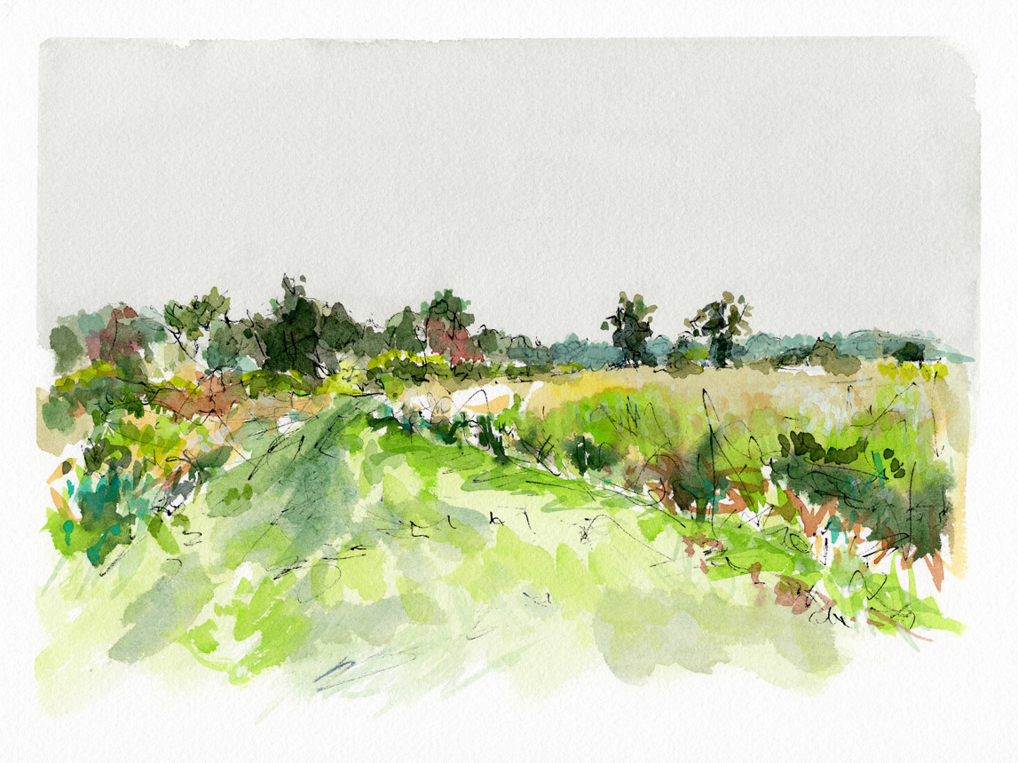 Lying in the Long Grass