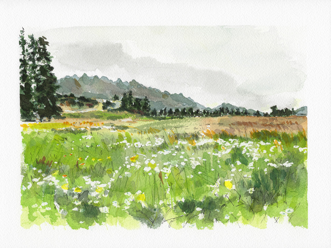 Mt Nicholas Sheep Station New Zealand