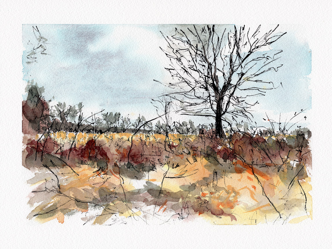 Nearing the End of the Year 2