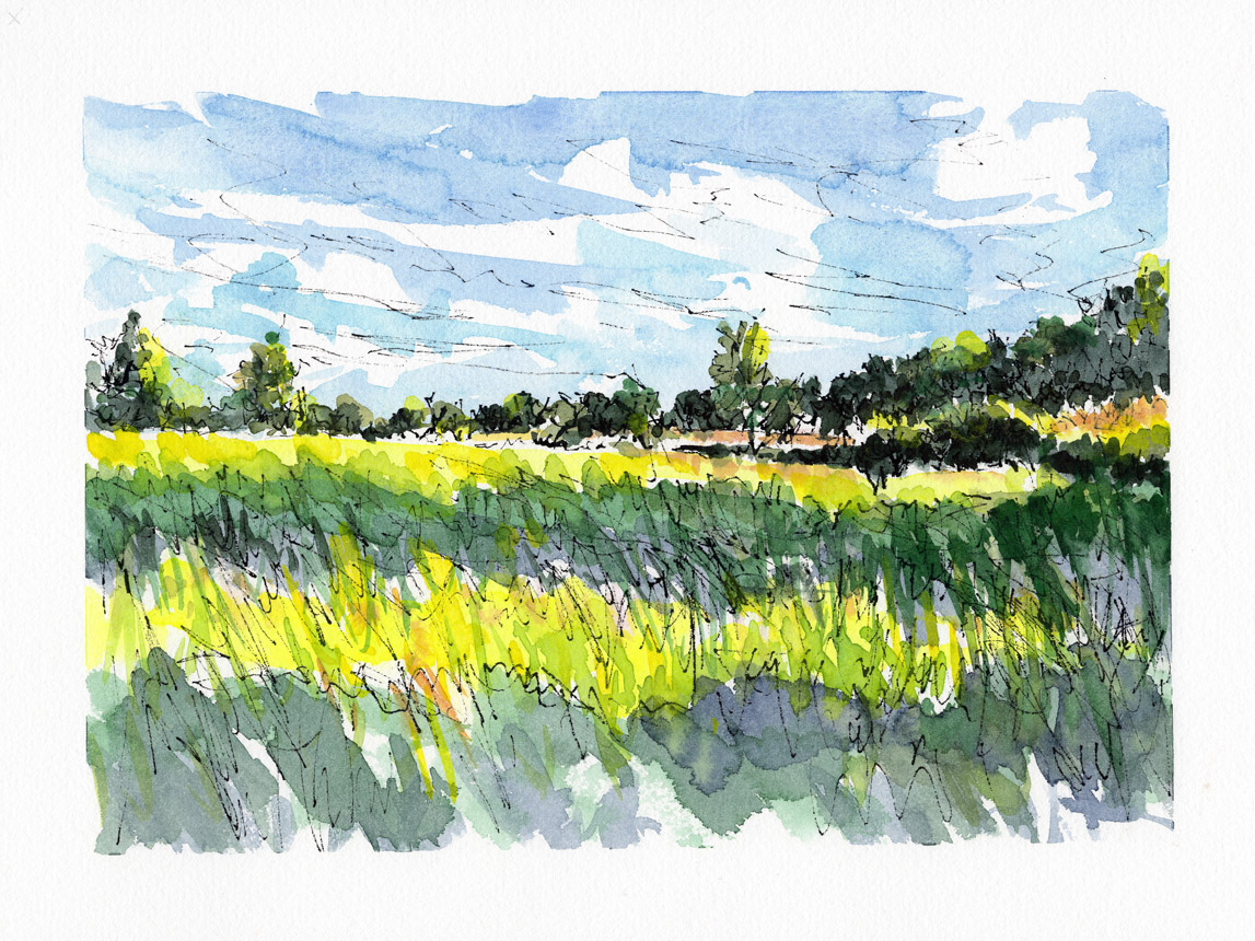 Painting the Summer in Winter 2