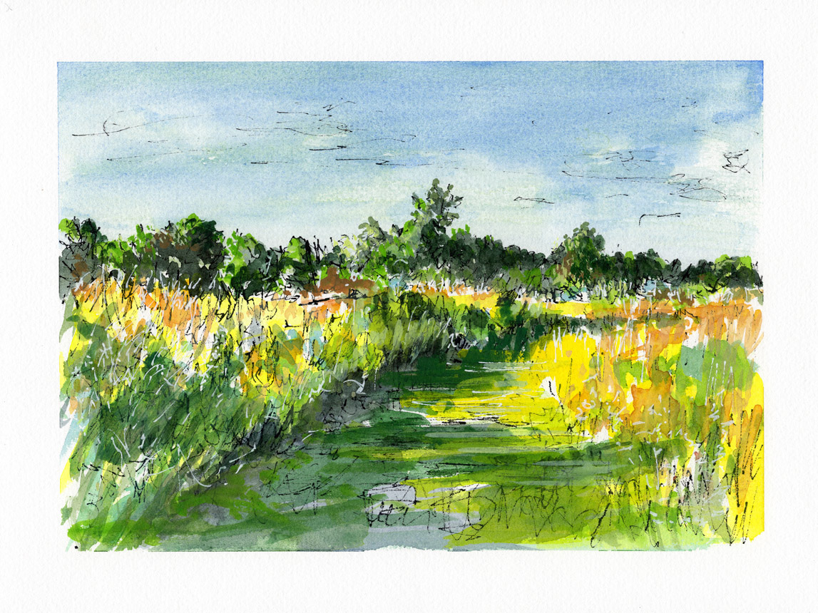 Painting the Summer in Winter 3