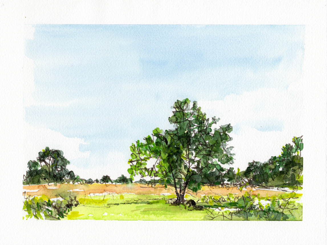 Painting the Summer in Winter 4