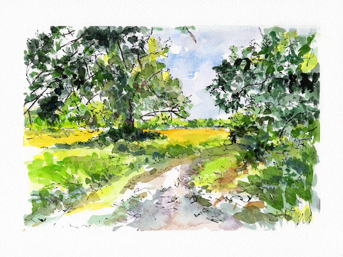 Painting the Summer in Winter