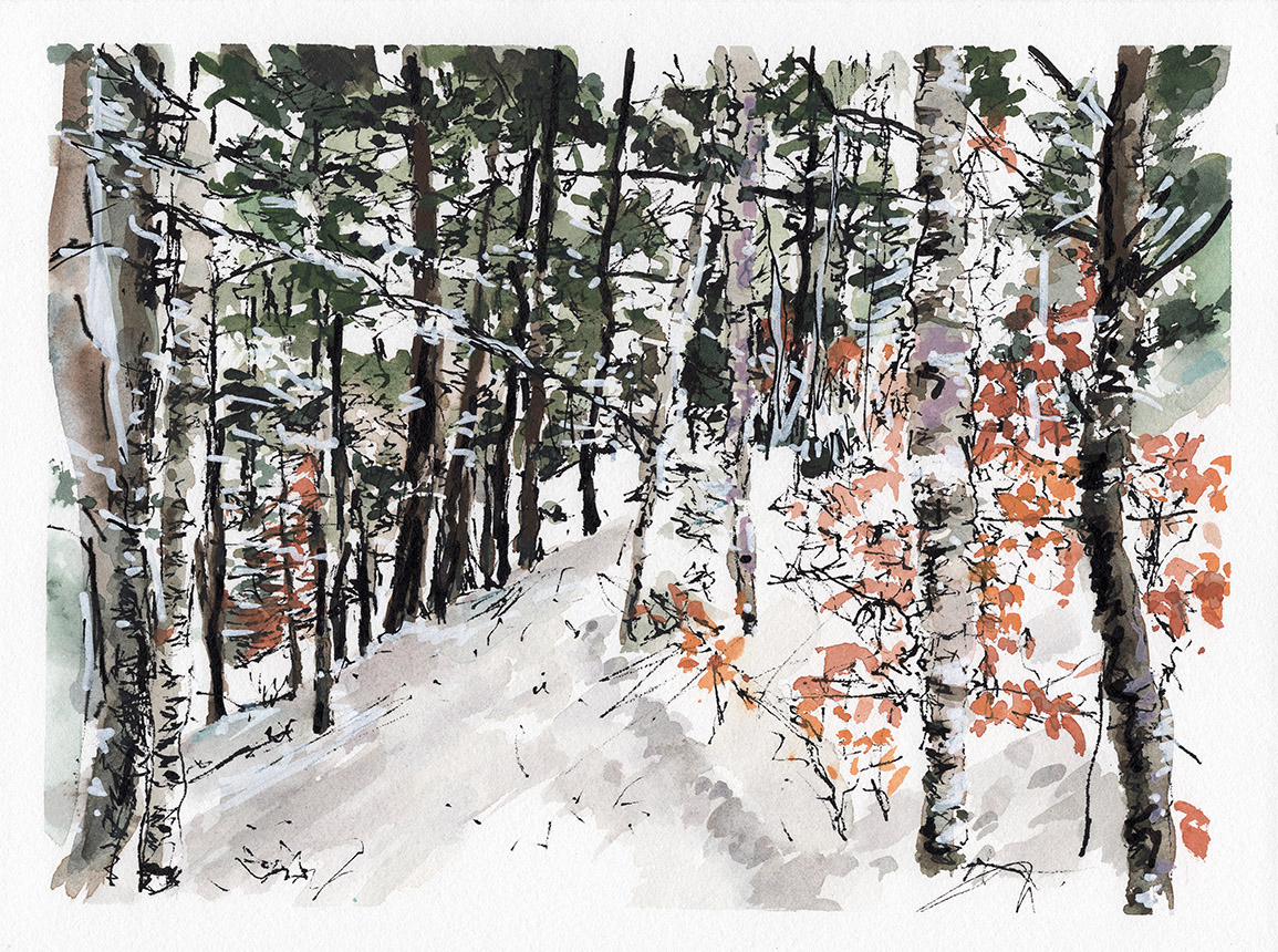 Path in the Valley 1