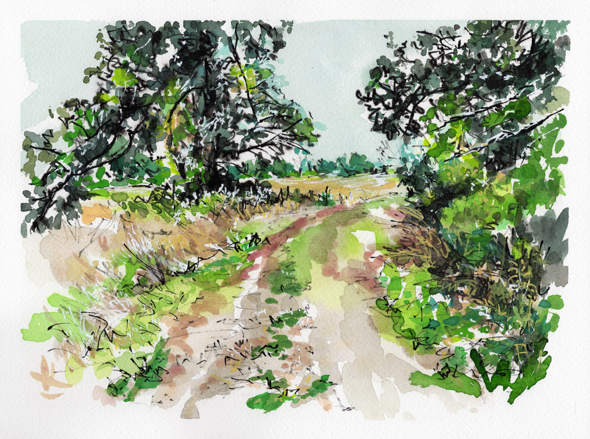 Race You down the Path