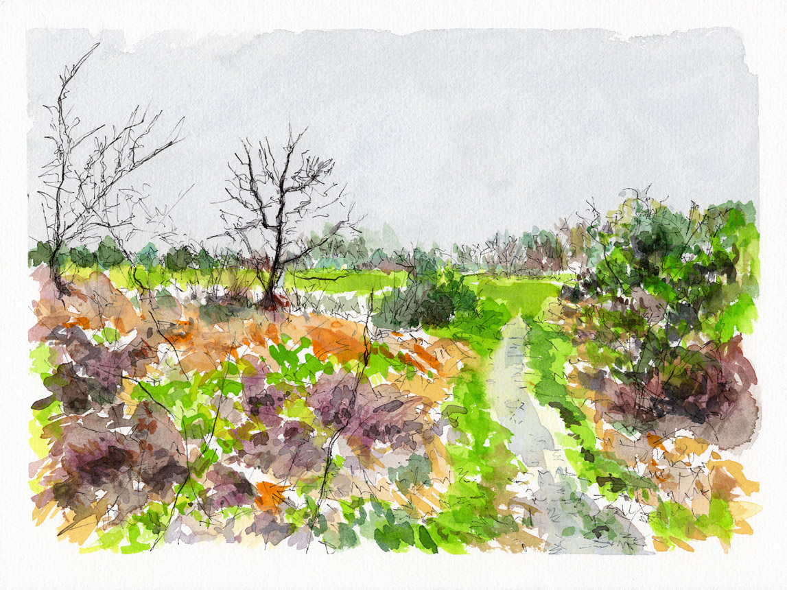 Rainy April Morning 1