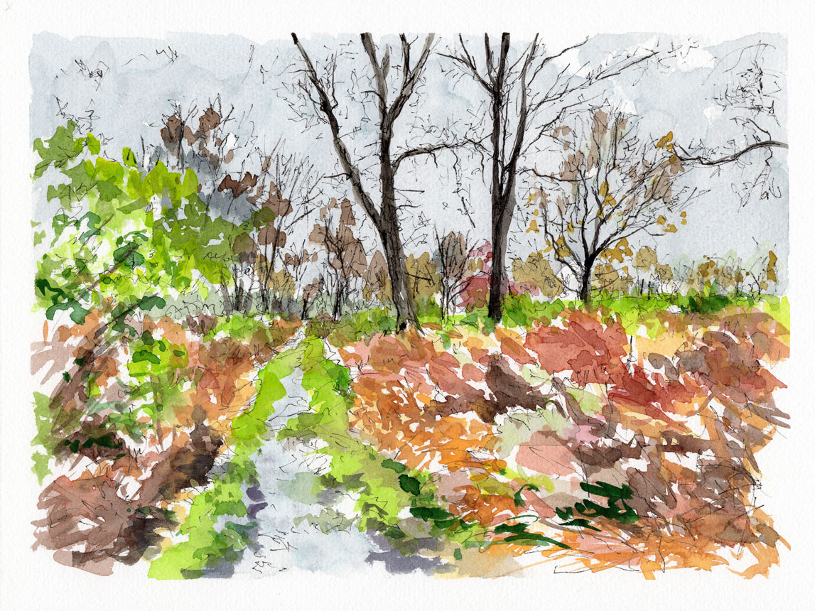 Rainy April Morning 2