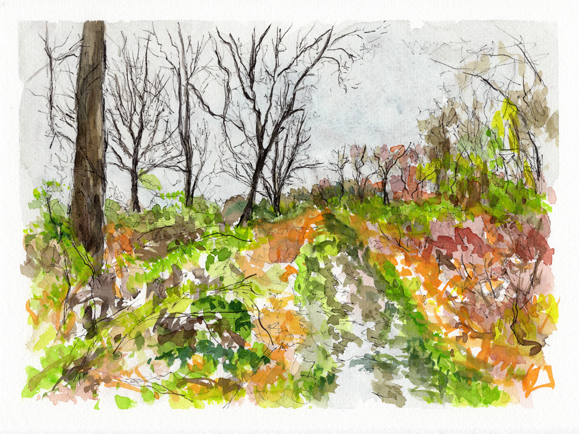 Rainy April Morning 3