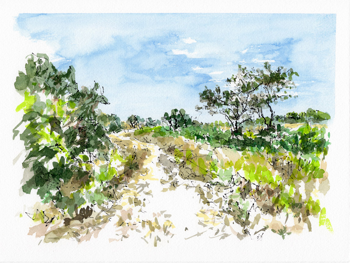 Ram Pasture Nantucket