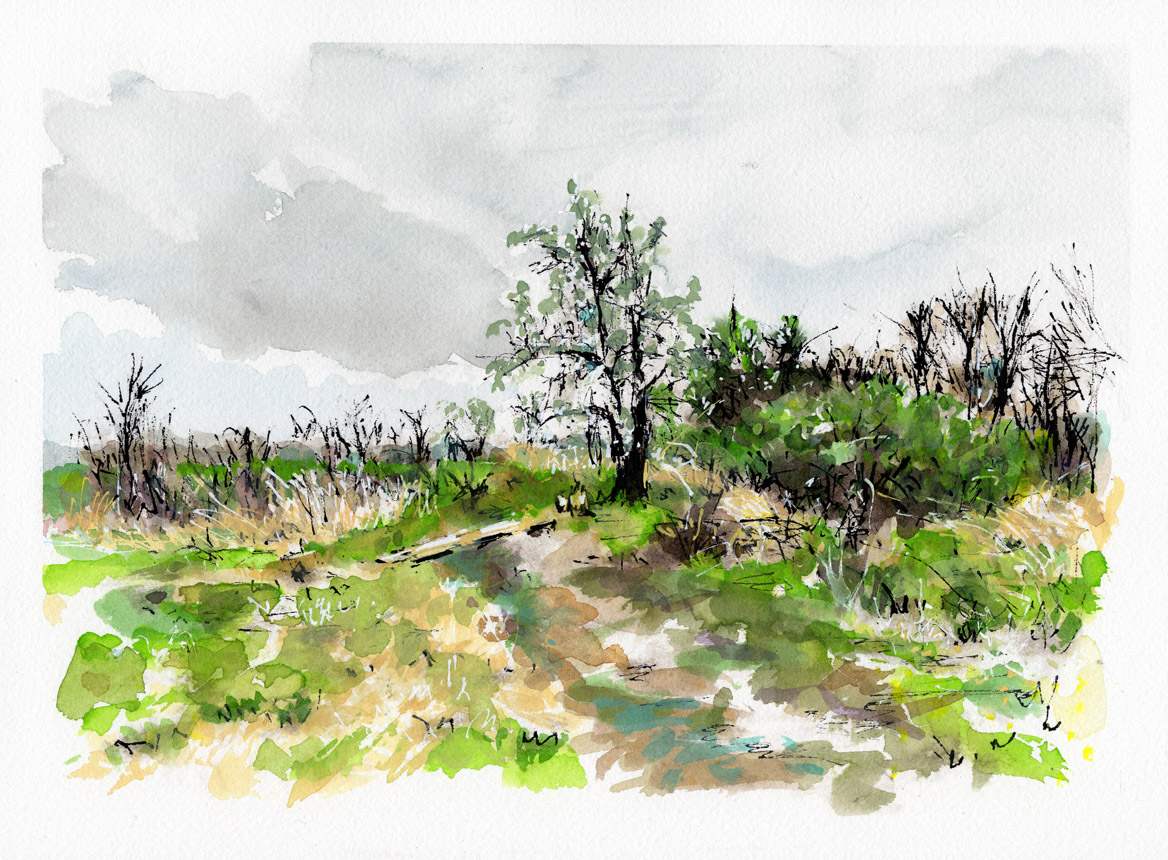 Savoring the Sweetness