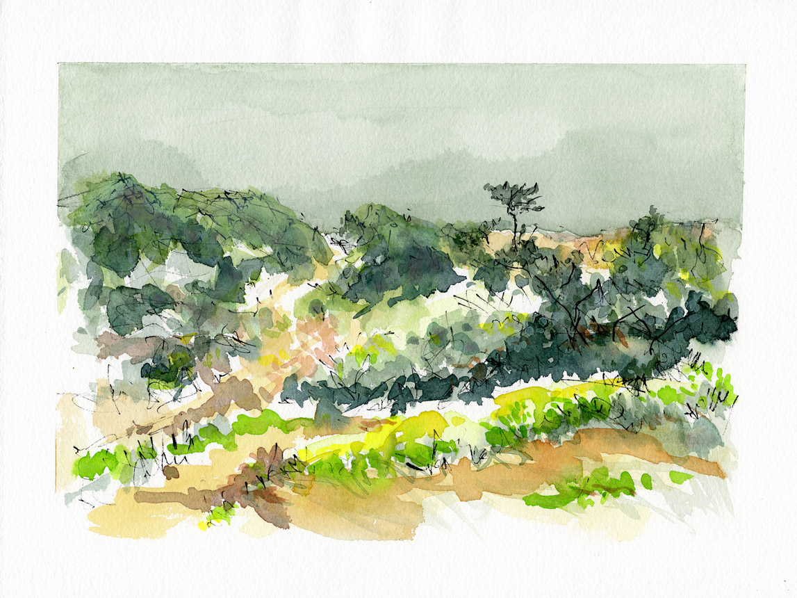 Trail Walk Dionis Land Bank 12