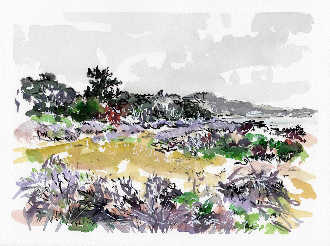 South Shore Trail Point Lobos