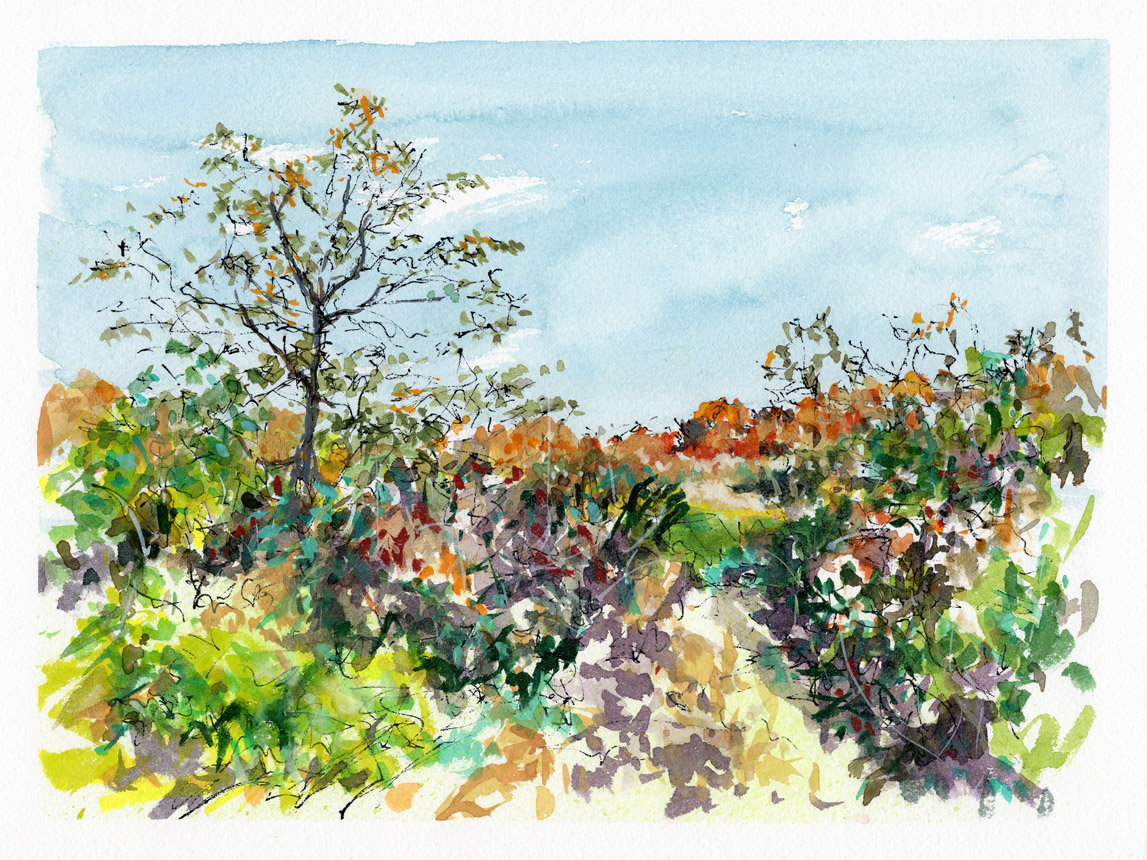 Super Special Ordinary Day