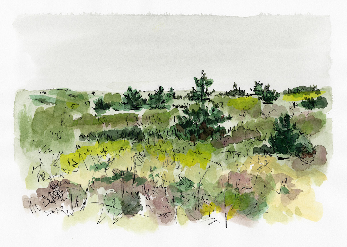 Surfside Foggy Afternoon 1