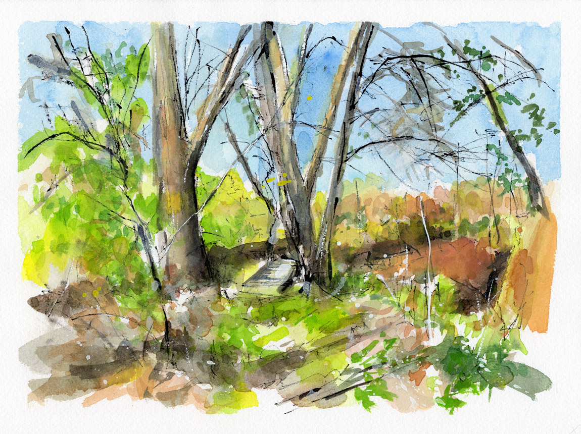 The Enchanted Neighborhood